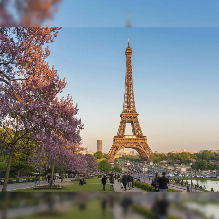 upi-in-france-pay-via-upi-to-see-eiffel-tower-in-france-now-know-how-to-768x768-1